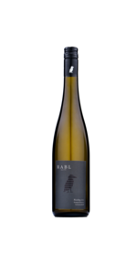 Riesling Schenkenbichl Kamptal DAC Reserve